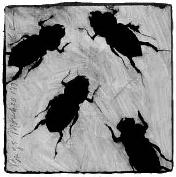 Bugs