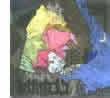 Donald Bied