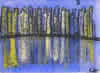 City